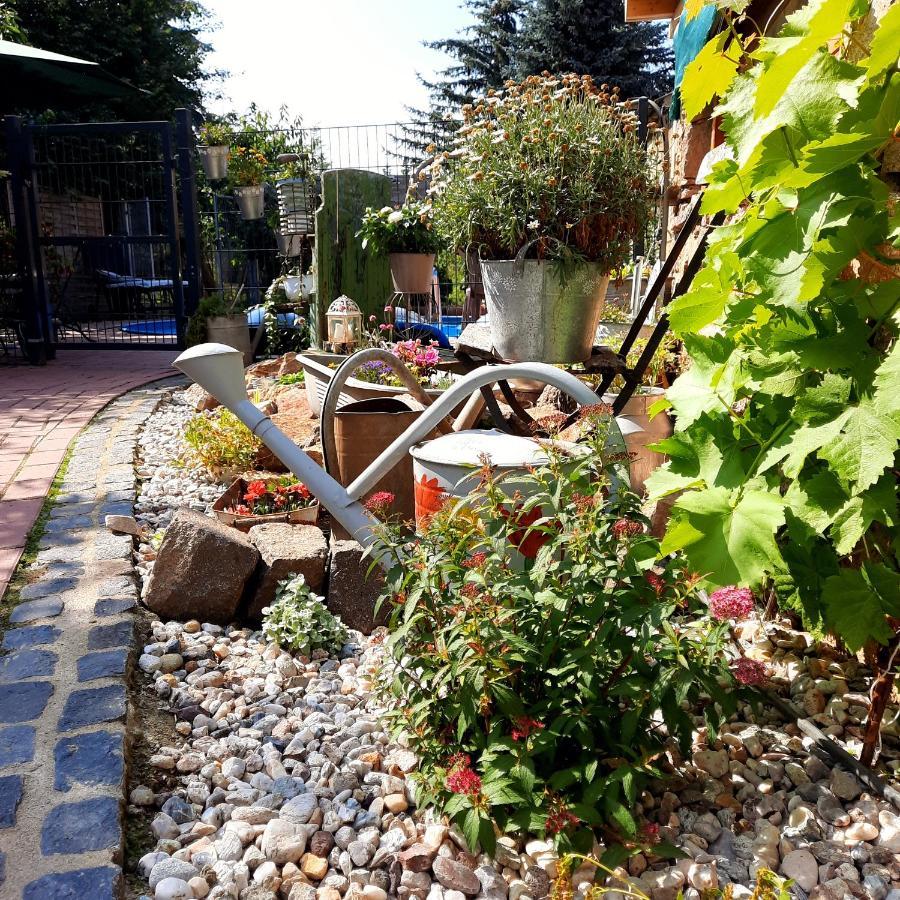Gaestewohnung Am Thuemmlitzwald Grimma Esterno foto